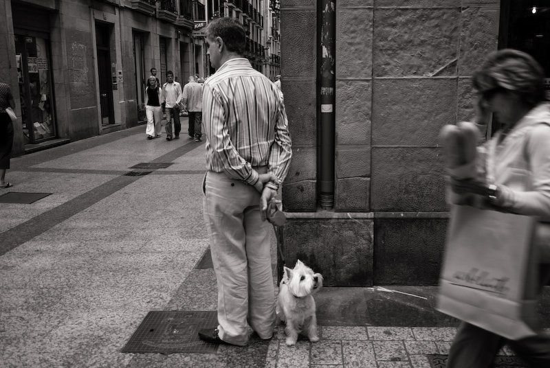 San Sebastián, 2007