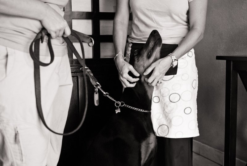 Barra de Navidad, 2008