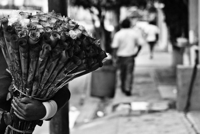 Cabo San Lucas, 2010