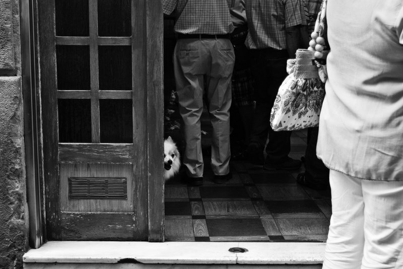 San Sebastián, 2010