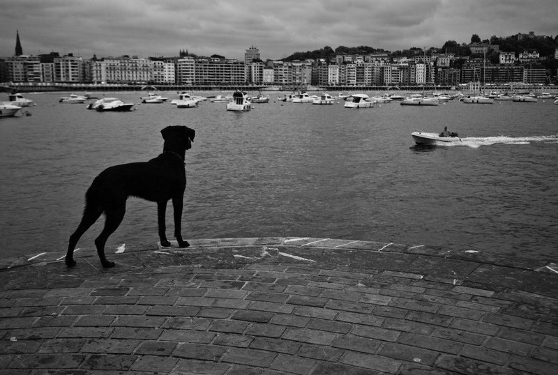 San Sebastián, 2010