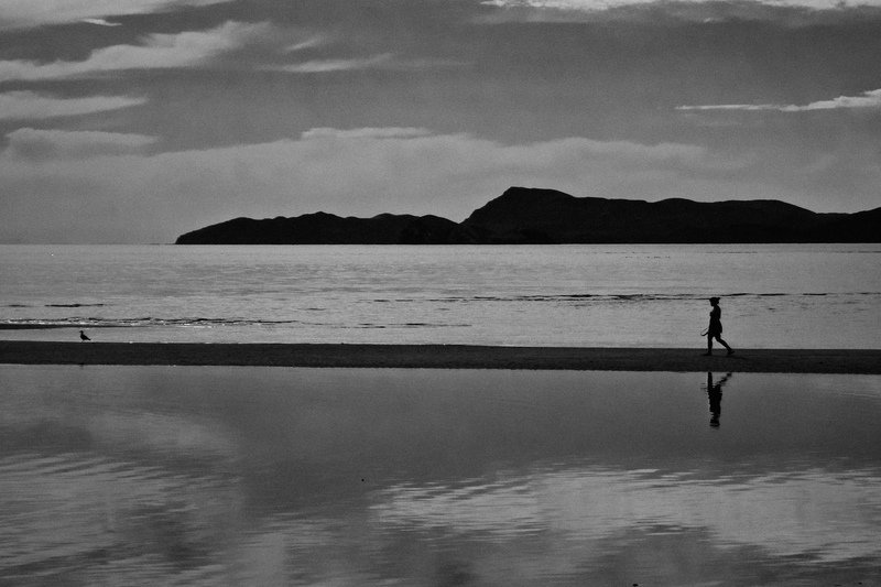 Bahia de Los Angeles, 2011