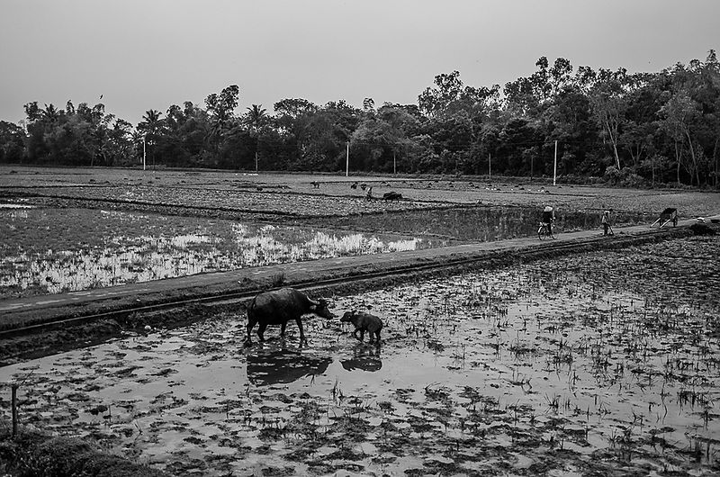 On the road in Vietnam, 2011