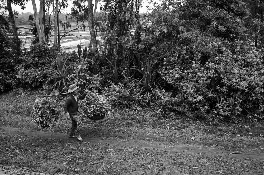 On the Road in Vietnam, 2011