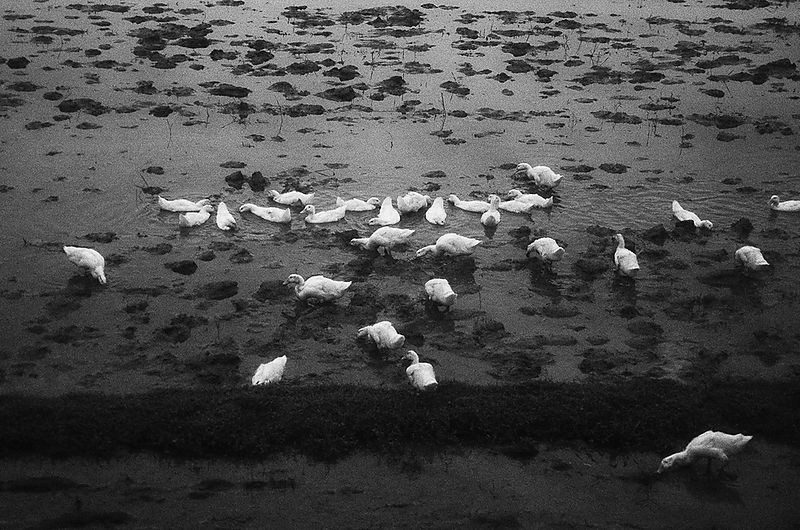 On the train in Vietnam