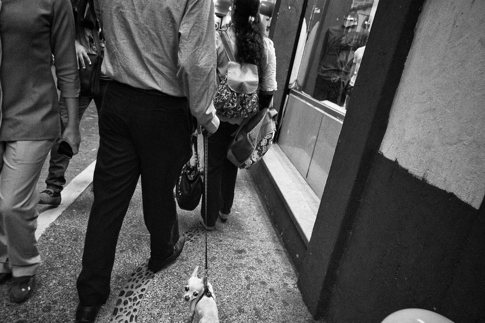 Puerto Vallarta, 2016