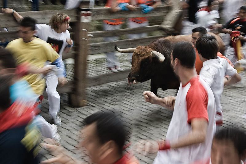 Pamplona, 2010