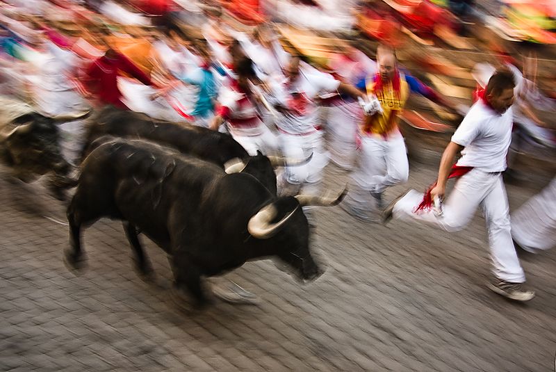Pamplona, 2008