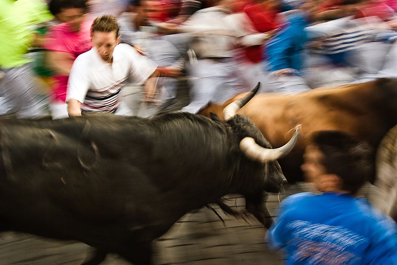 Pamplona, 2008