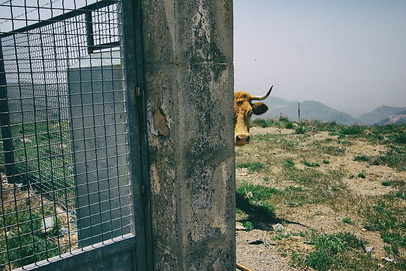 South of Spain, 2008