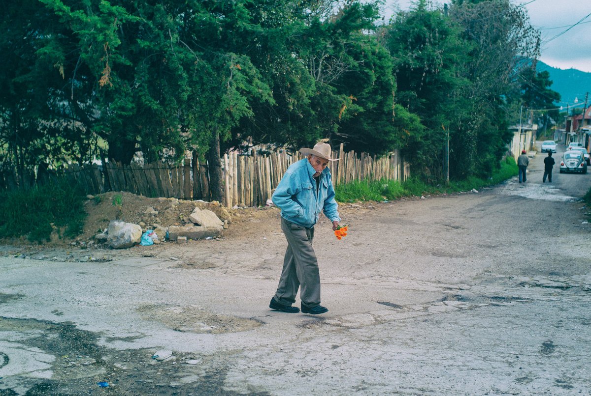 Ocosingo, 2012, 2025